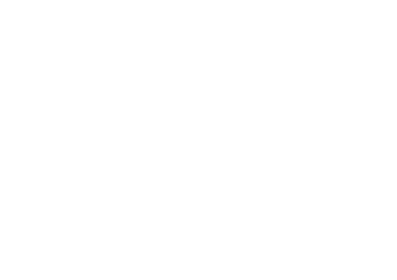 SVIT Ticino
